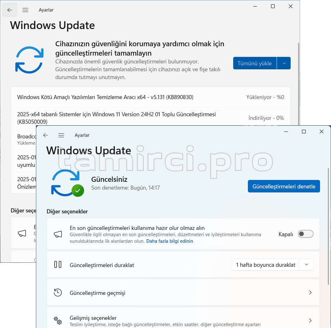 Windows güncellemesi başarıyla gizlendi